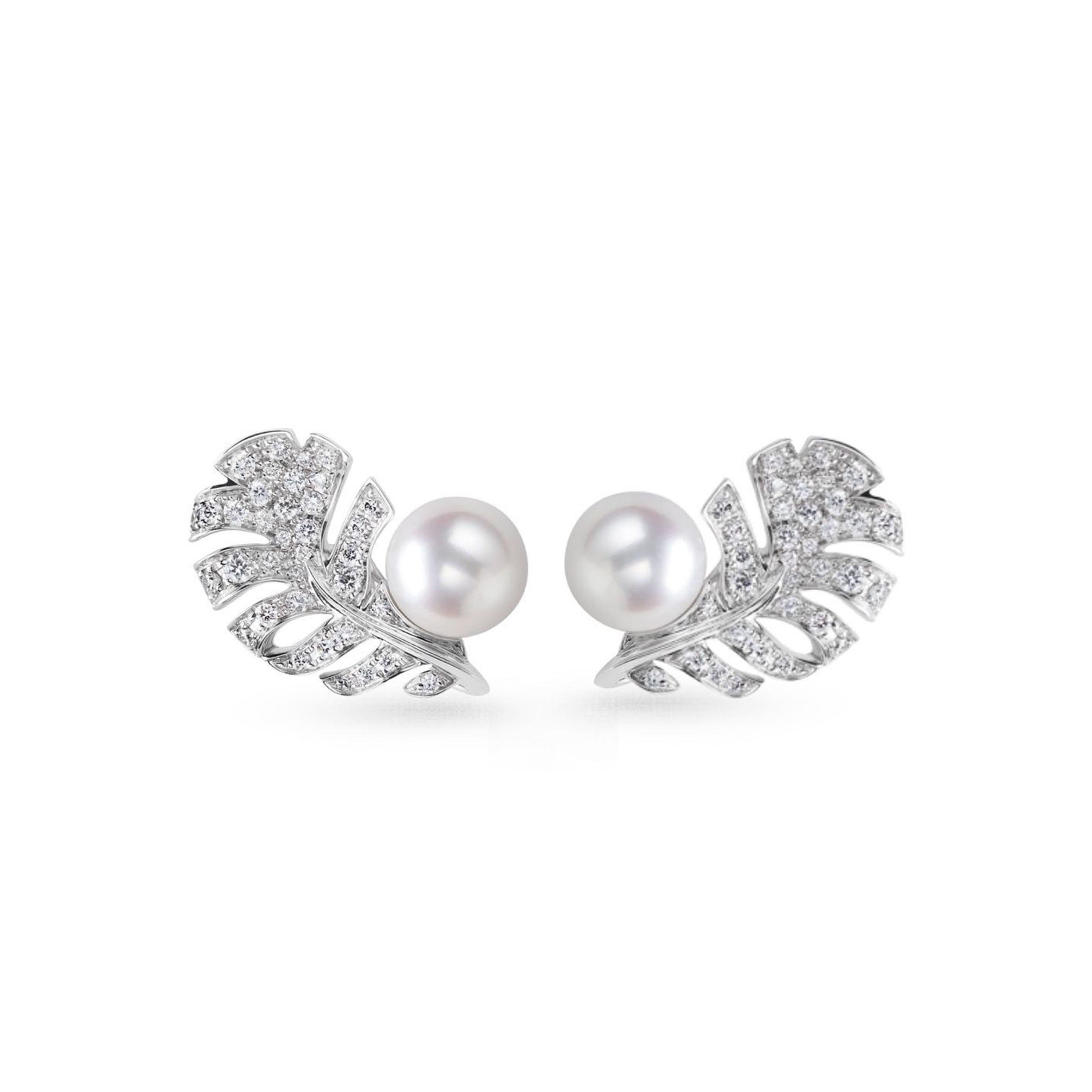 Ch*el plume de Ch*el earrings j10833